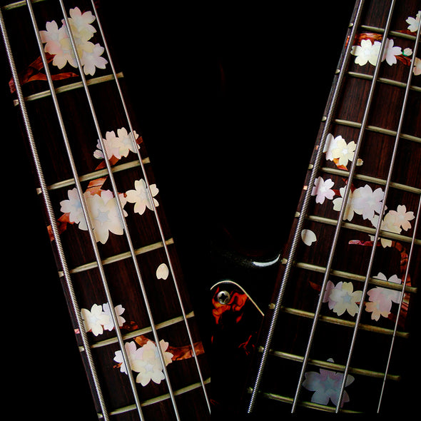 Cherry blossoms for Bass