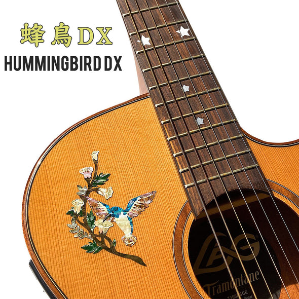 Humming Bird DX