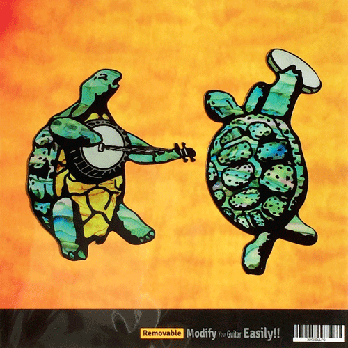 Dancing Turtles