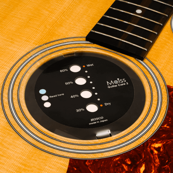 Moiss2 Guitar Humidity Controller